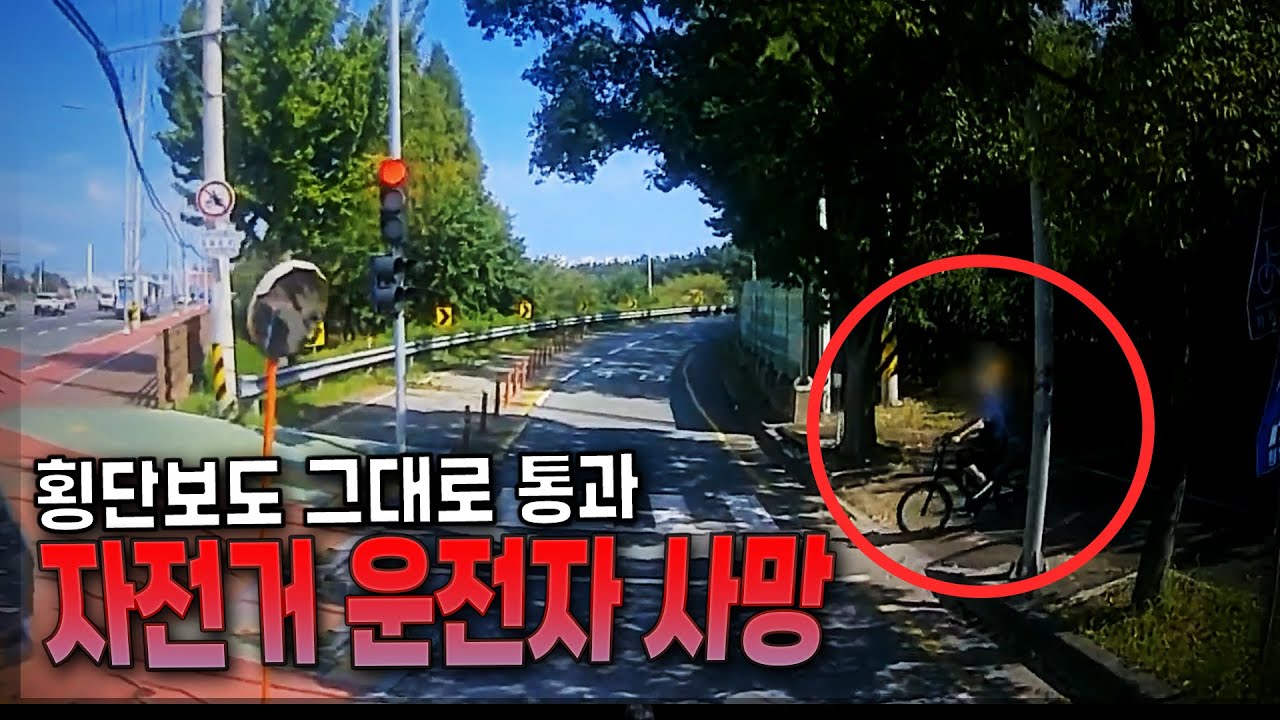25486회. 적색점멸 그냥 지나가다가 자전거 운전자 사망, 결국 금고1년 6개월 실형 선고, 운전자보험이 없으면 이런 안타까운 상황이 발생합니다