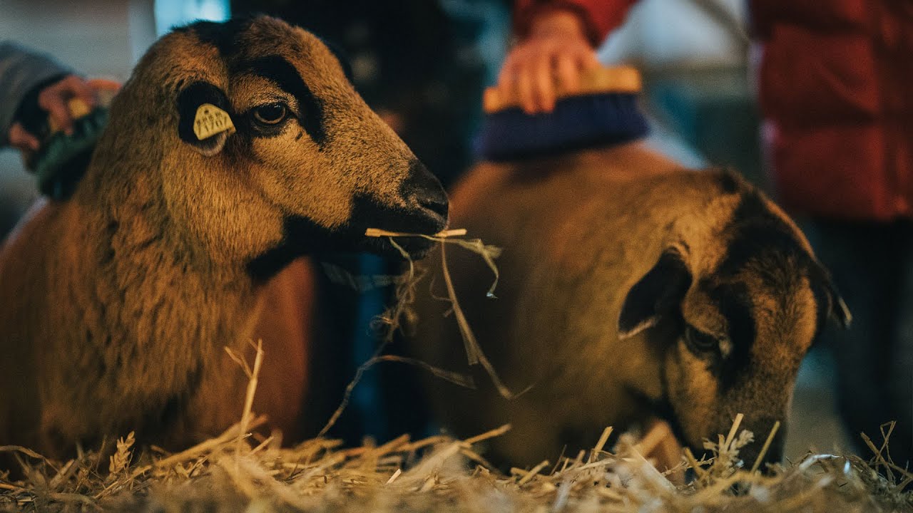 B&uuml;dchenzauber 2018 in Uedem