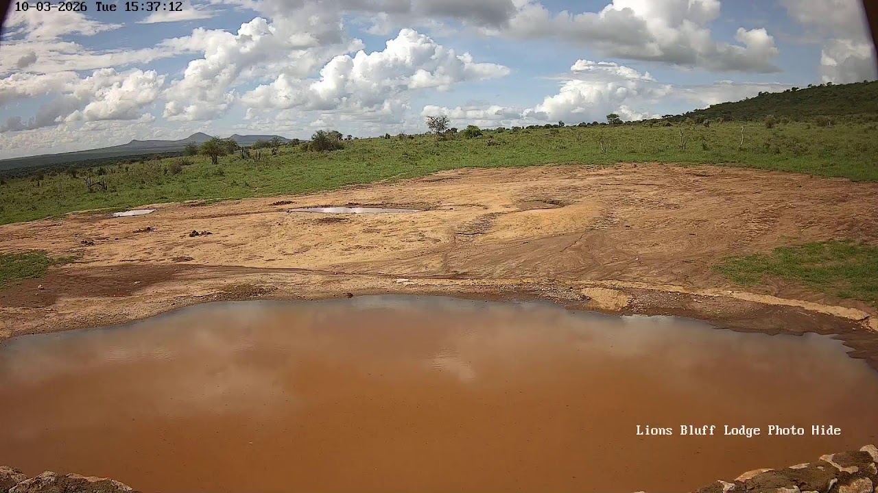 Lions Bluff Lodge Photo Hide - Live Stream
