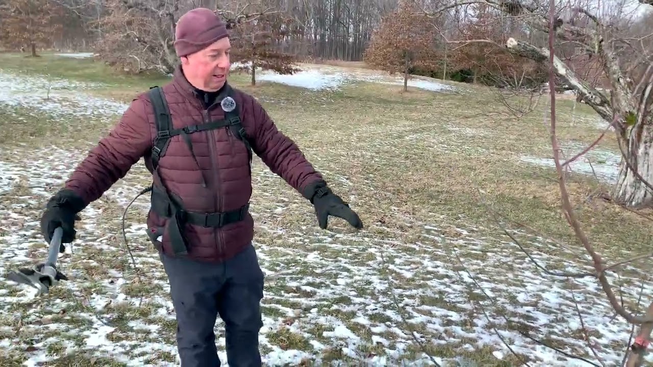 Lesson on Central Leader Pruning for a 3rd Year Apple Tree