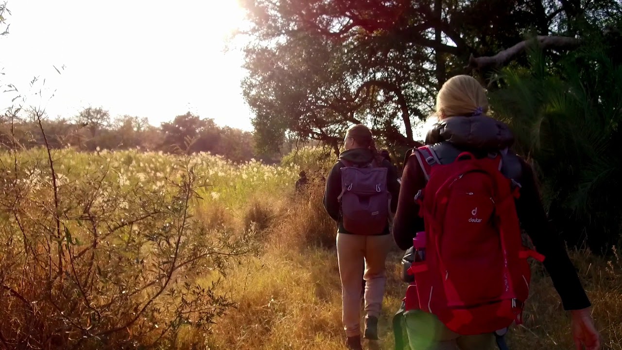 All roads lead to the African bush | EcoTraining Students