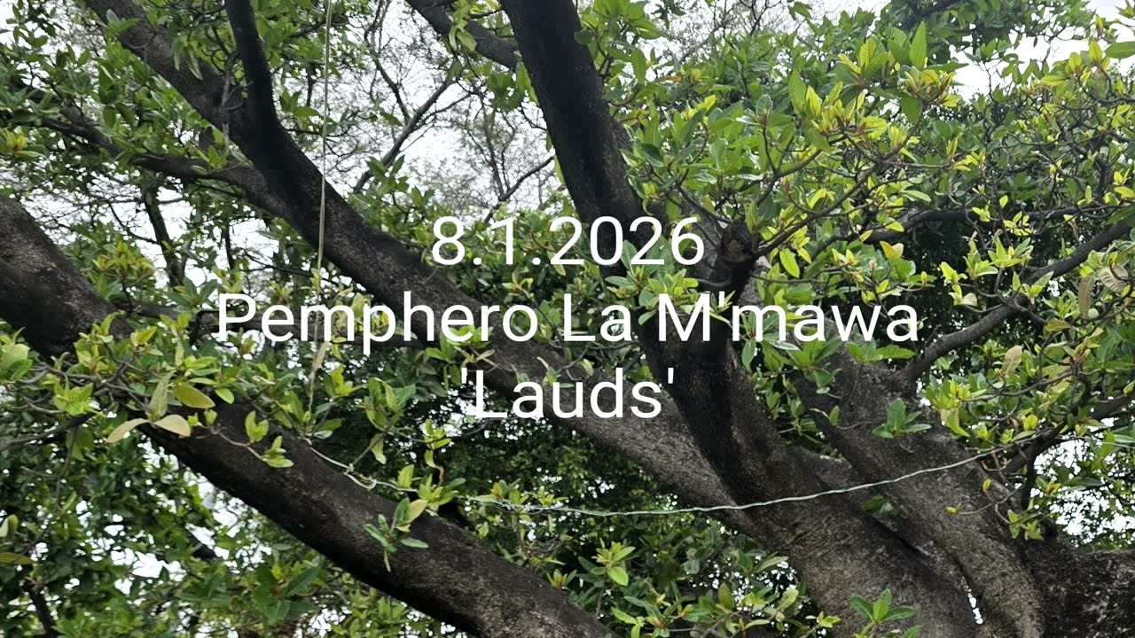 8.1.2026| Pemphero La M'mawa | Lauds 