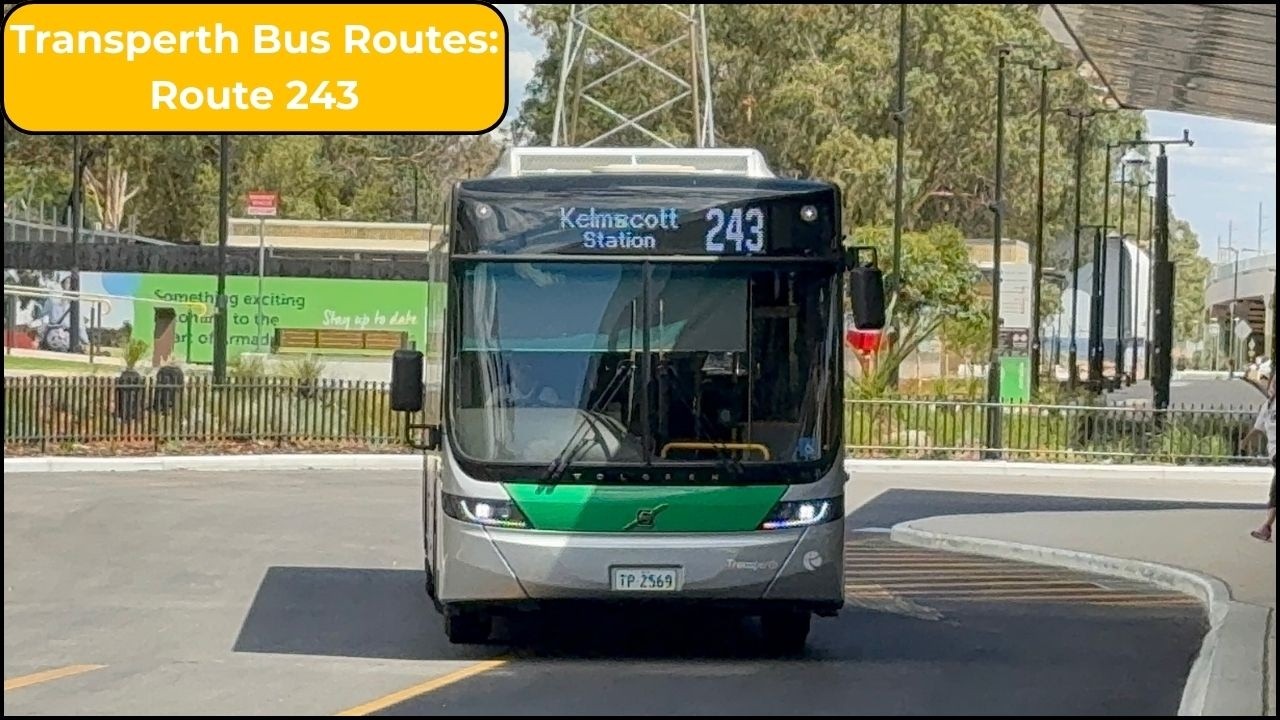Transperth Bus Routes: Route 243