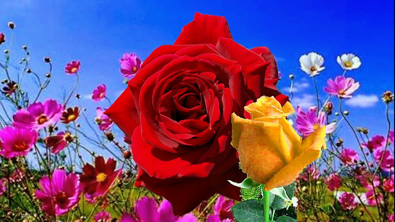 Soneto a la Primavera