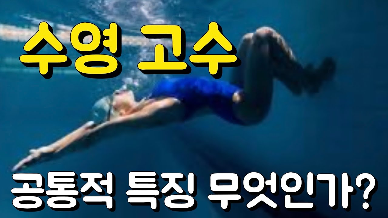 수영 고수들의 은밀한 특징 6가지 일아보자!