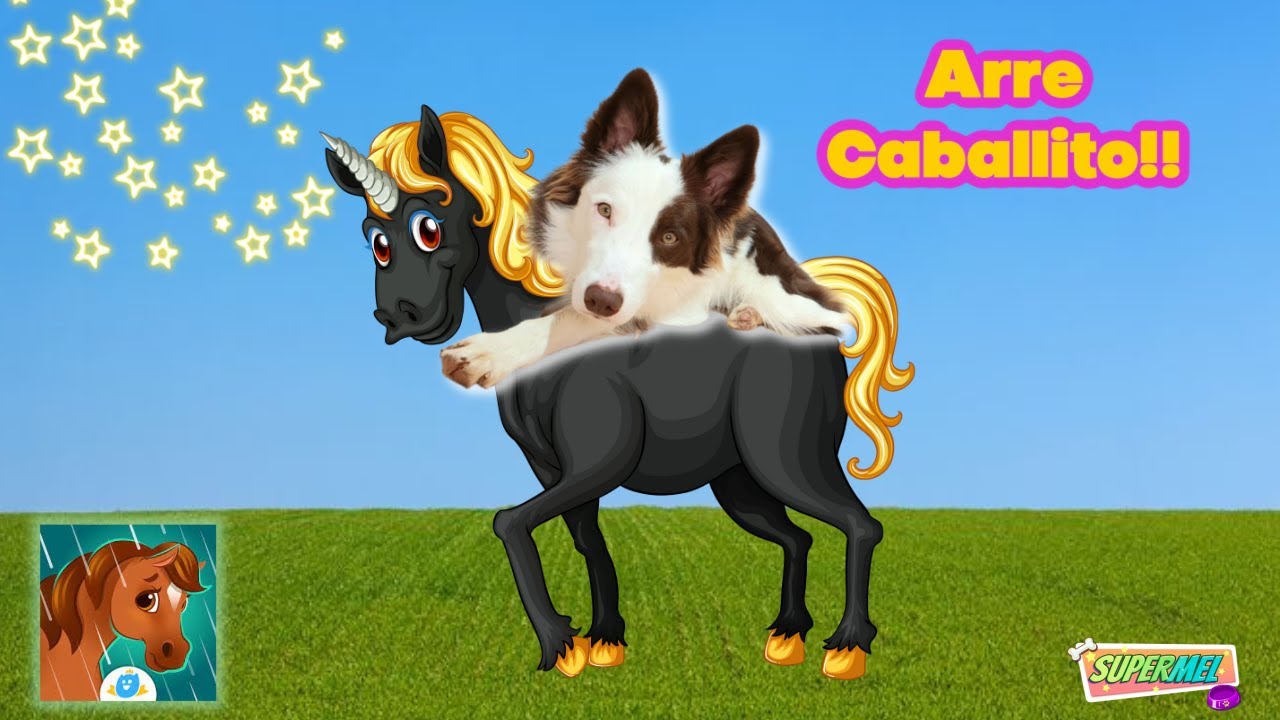 Os PRESENTO a mi CABALLO PIXIE / Mel Gamer