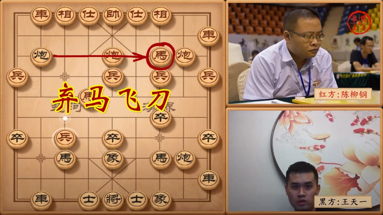 贵州棋王陈柳钢开局九回合就弃下一马对决外星人王天一