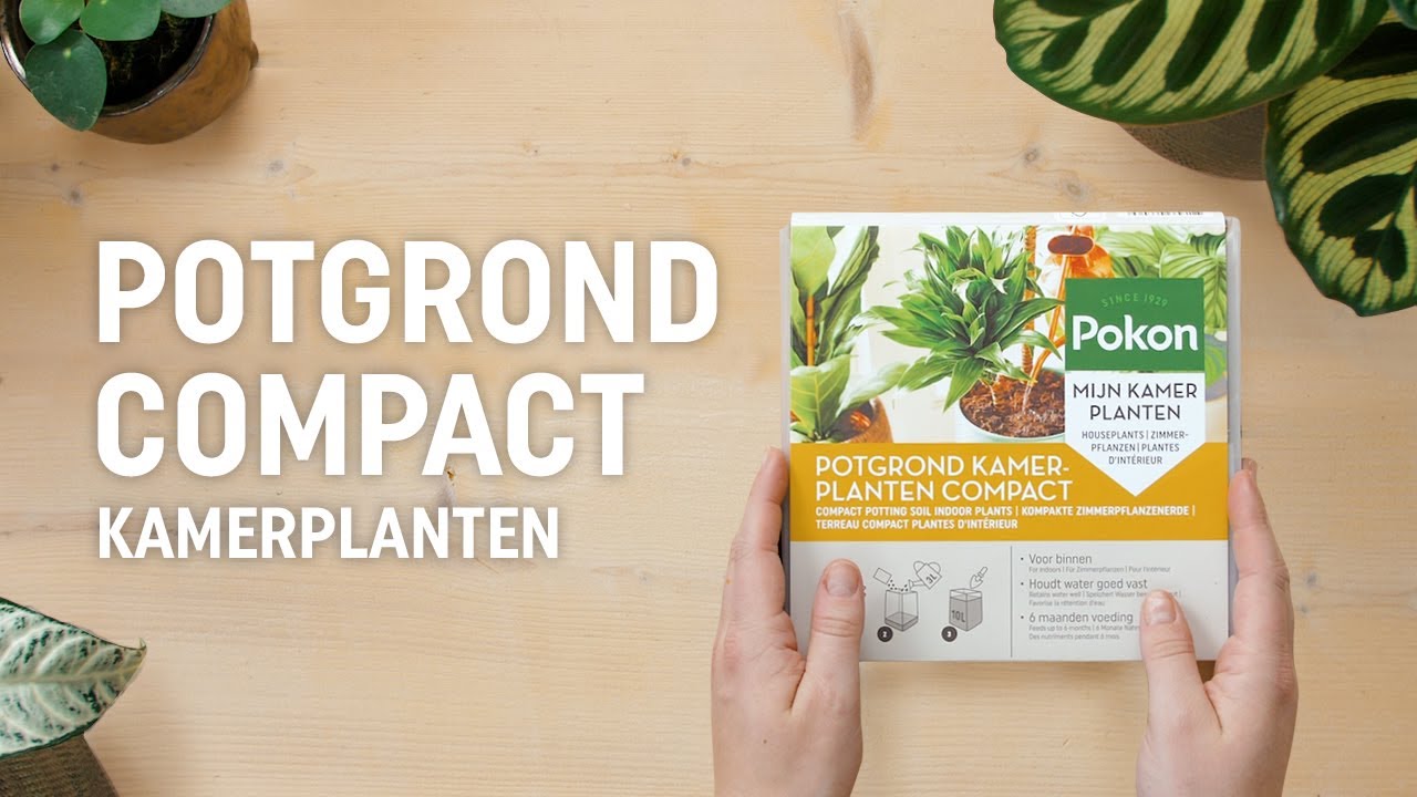 Pokon Kamerplanten | Potgrond Compact