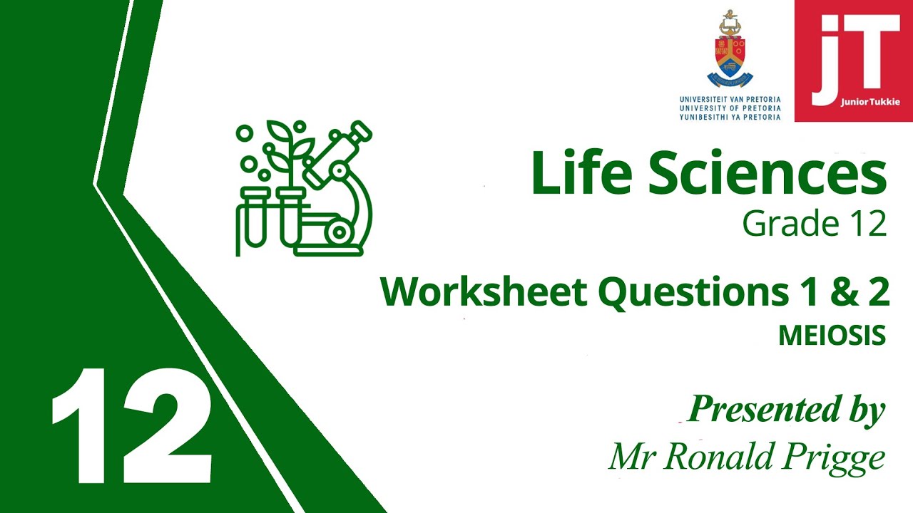 4. Gr 12 - Life Sciences - Meiosis - Worksheet Questions 1 & 2