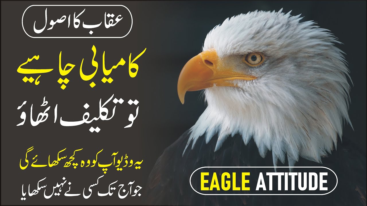 Life Lesson to Learn from an Eagle urdu hindi | Wisdom of the Eagle | Inspiring Eagle Story