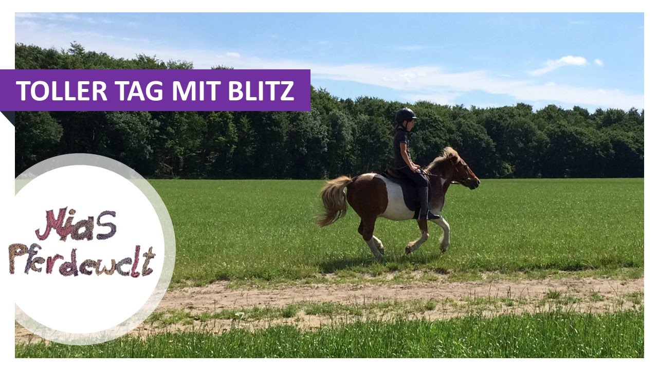 FMA - mit Blitz ausreiten, auf die Galoppstrecke