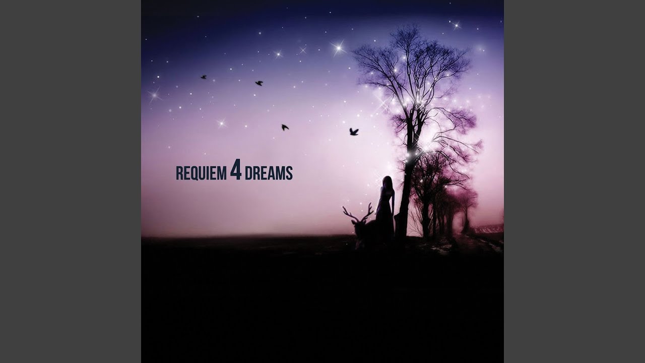 Requiem 4 Dreams (Amen Addict Remix)
