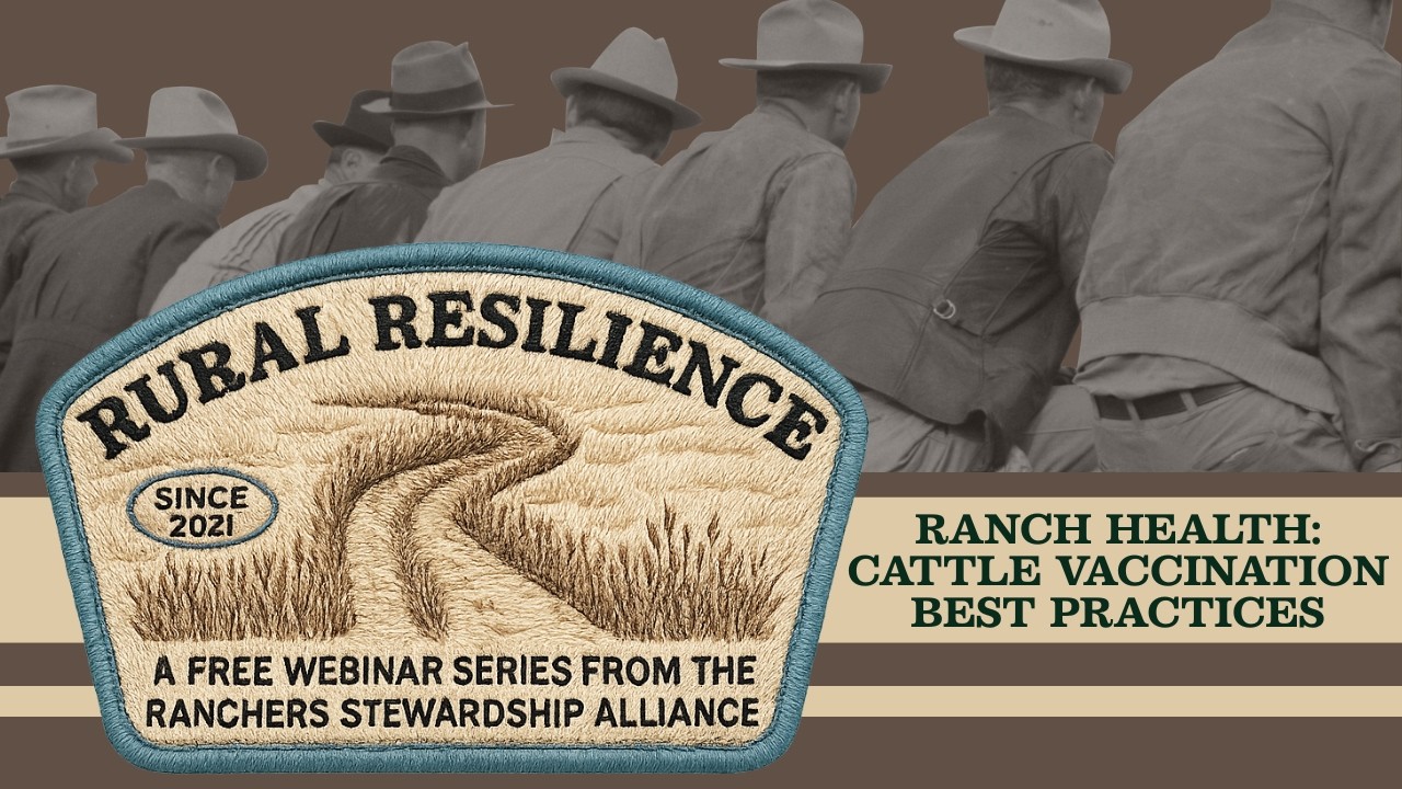 Ranch Health: Cattle Vaccination Best Practices