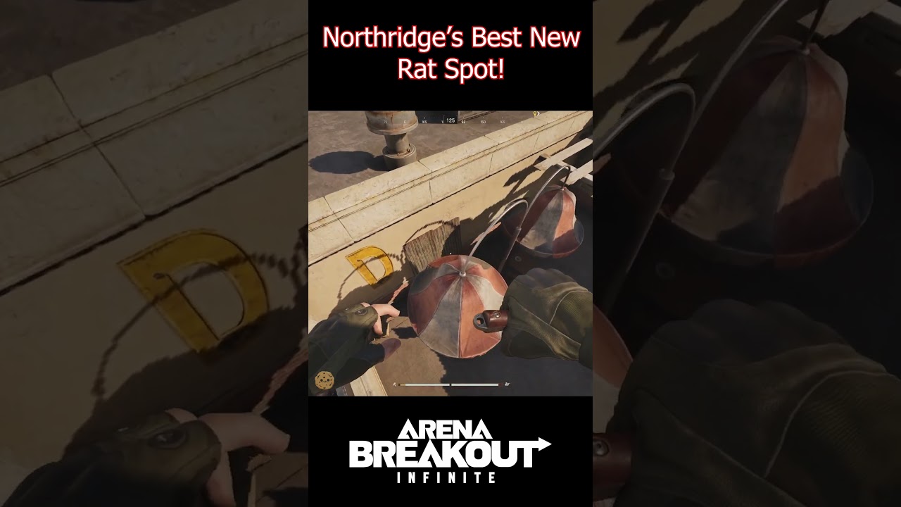 The Best New Rat Spot in Northridge / Arena Breakout İnfinite PC  #arenabreakouttipsandtricks