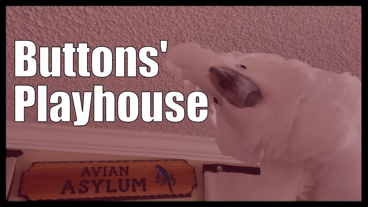 Buttons' Playhouse