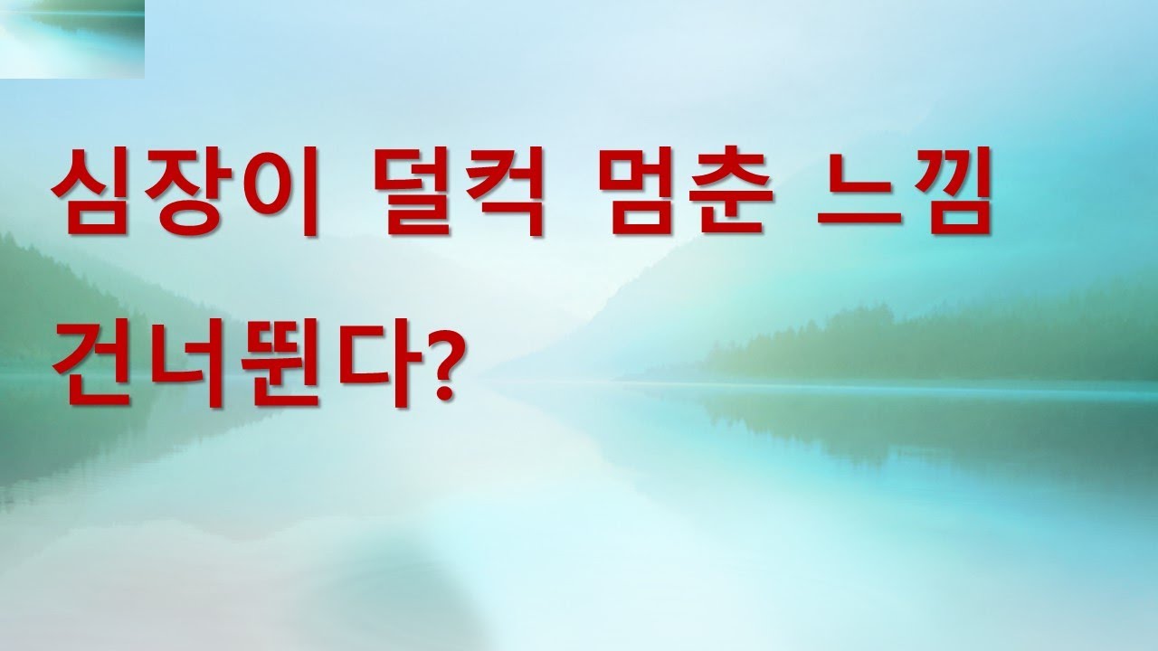 심장이 덜컥 멈춘 느낌?건너뛴다? (조기수축)