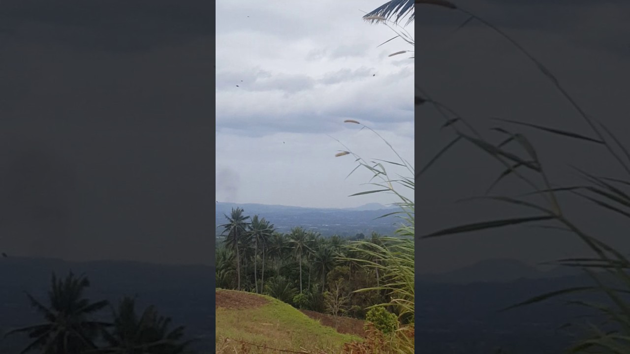 Best Farmlot for Sale in Philippines Batangas!