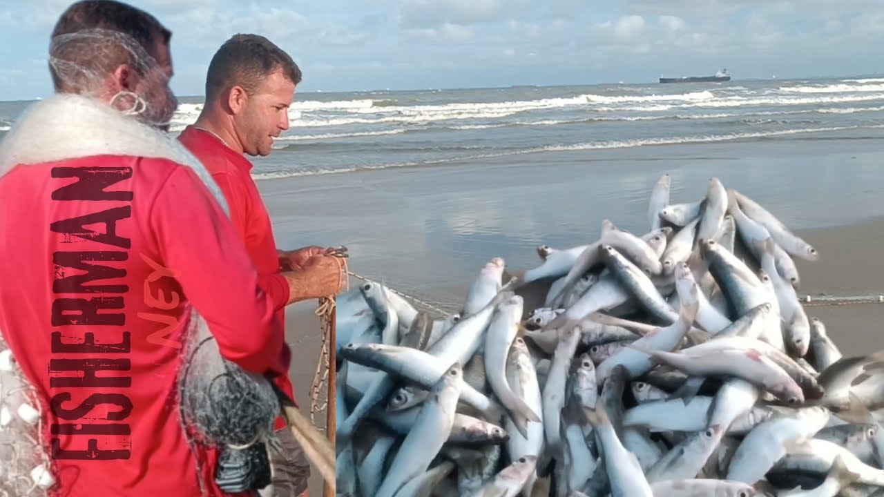 PESCARIA DE TAINHA NA PRAIA DE ALCÂNTARA-MA 