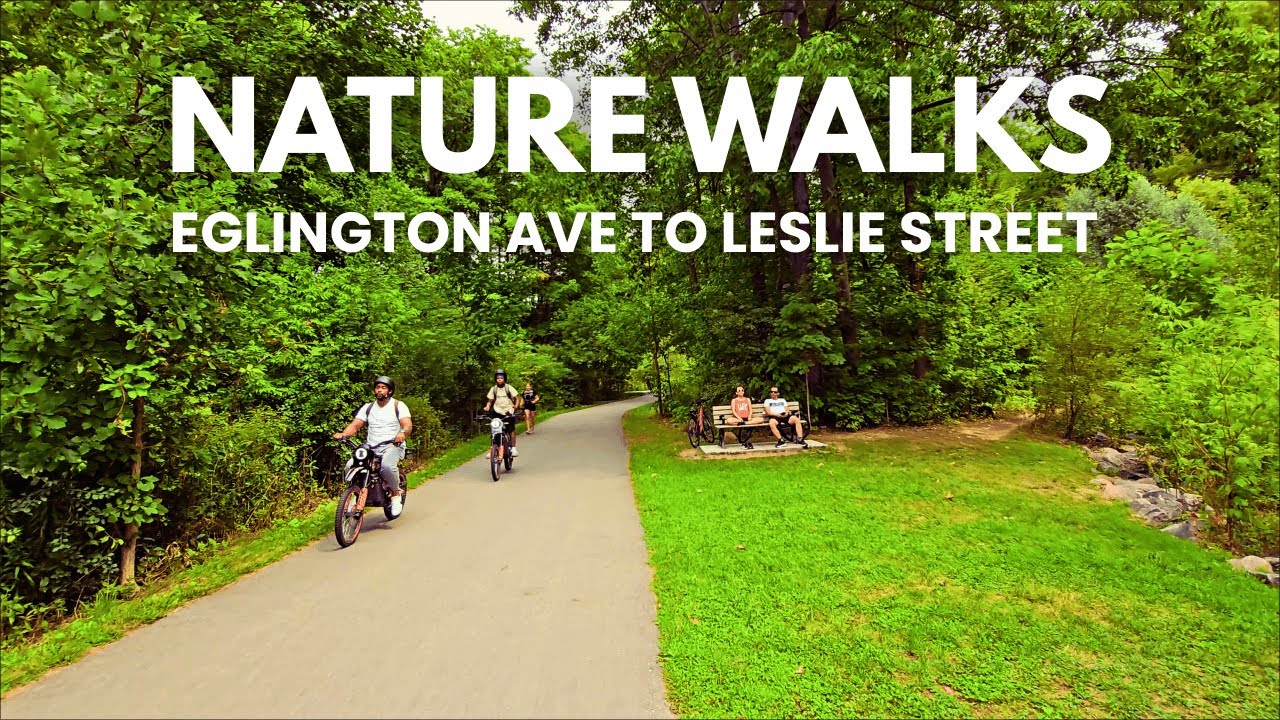 Nature Walk from Eglinton to Leslie  Serena Gundy & Wilket Creek Park Near Sunnybrook Picnic Areas