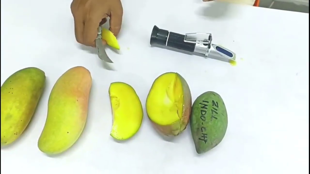 Zill indochines & Mango Min এর স্বাদ গ্রহন করলাম।