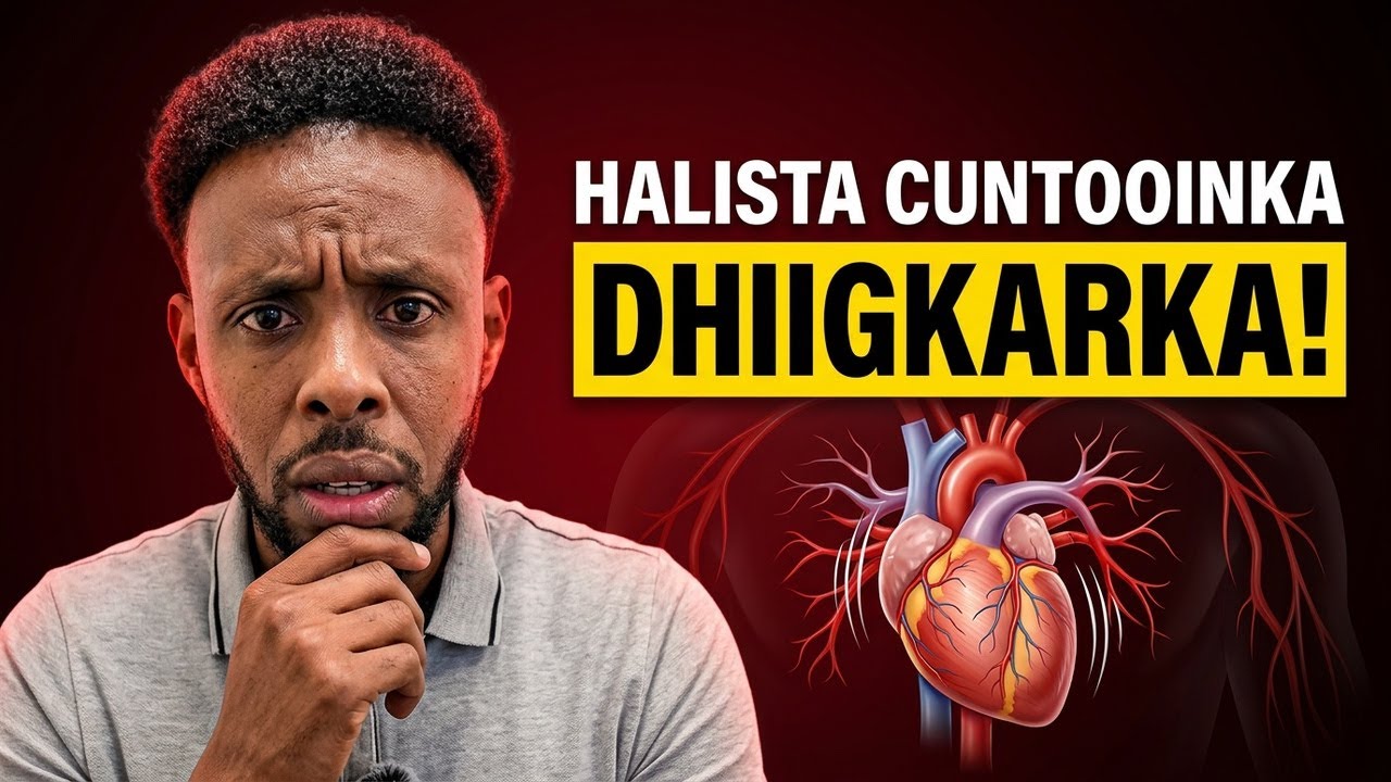 Cuntooyinka Ugu Halista Badan ee Dhiigkarka – Walaac!