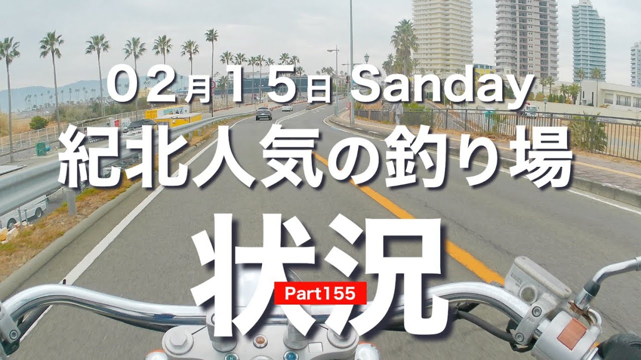 【釣り場状況】塩津漁港🐟マリーナシティ🐡和歌浦漁港🐠田ノ浦漁港☁️雑賀崎漁港🌤️水軒鉄鋼団地エリア ❄️ Part 155 #和歌山釣り#塩津漁港#マリーナシティ#鯵釣り