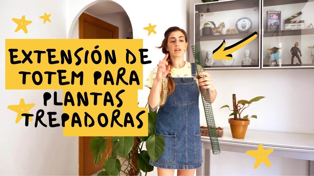 Extensión de TUTOR de musgo para PLANTAS TREPADORAS - Moss Pole