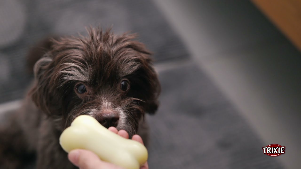 Aloe Vera Seife f&uuml;r Hunde von TRIXIE Heimtierbedarf