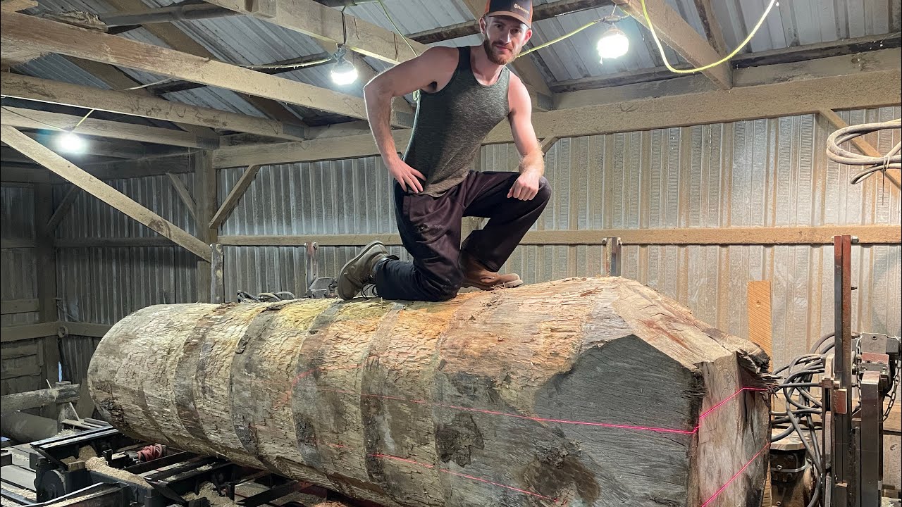 Saw-milling a 32 Inch Sycamore Butt Log!! #91