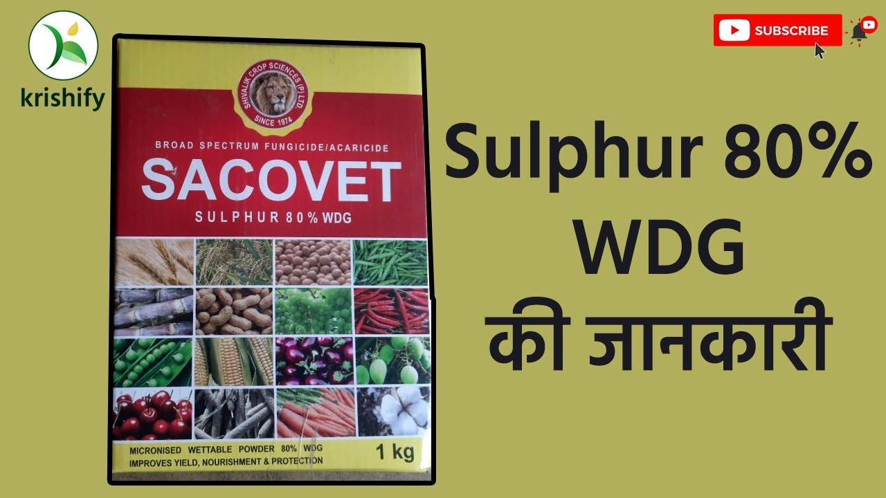 फसलों में सल्फर का महत्व | Sulphur 80% WDG | सल्फर 80% WDG का उपयोग | Sulphur Fungicide, Nutrients