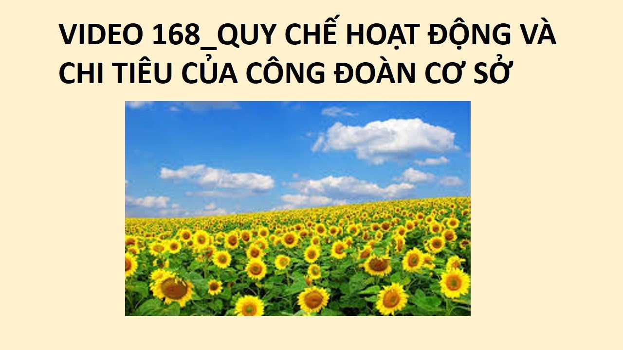 VIDEO 168_QUY CHẾ HOẠT ĐỘNG VÀ CHI TIÊU CỦA CÔNG ĐOÀN CƠ SỞ