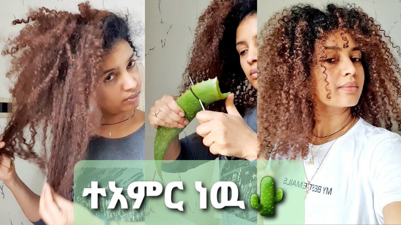 📍ፀጉሬን ካለ ሻምፑና ኮንዲሽነር በ ሬት🌵 (aloe vera) ብቻ ታጥቤ ጉድ ብዬ ተገረምኩ📍 የፀጉር መነቀል የለ!