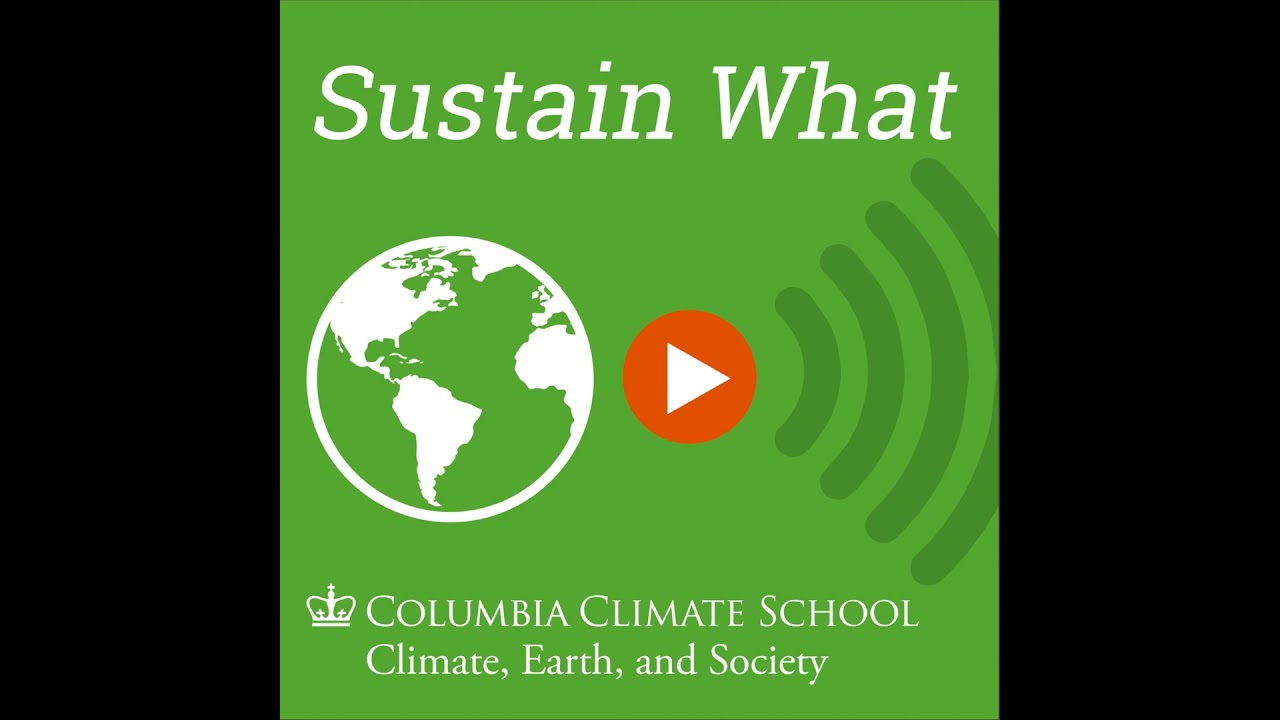 Libertarian and Liberal Lawyers with a Climate Focus Agree on Big Weaknesses in Trump's Attack on...