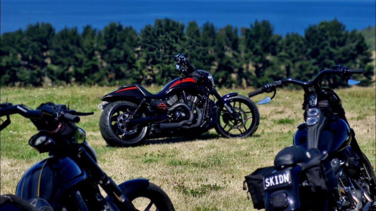 Rotorua to Taupo but detour between, vrods dynas & soft tails wheelies and more