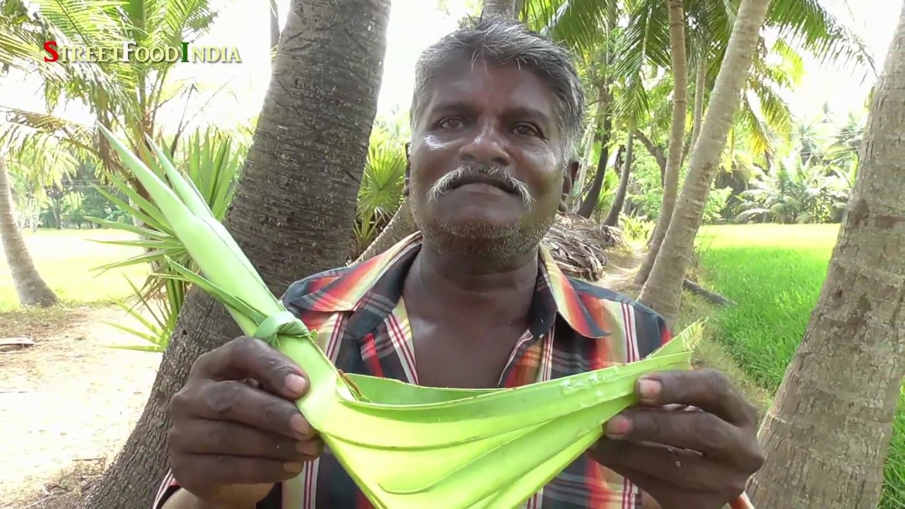TODDY palmyra SAP | JUICE of Asian palmyra palm wine | Neera | Pathaneer | HEALTHY THAATI KALLU