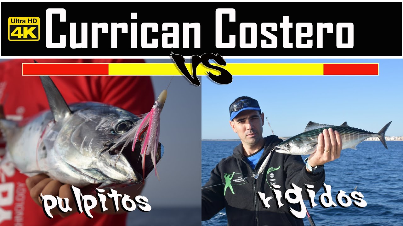CURRICAN COSTERO ¿ Señuelos RIGIDOS o PULPITOS?
