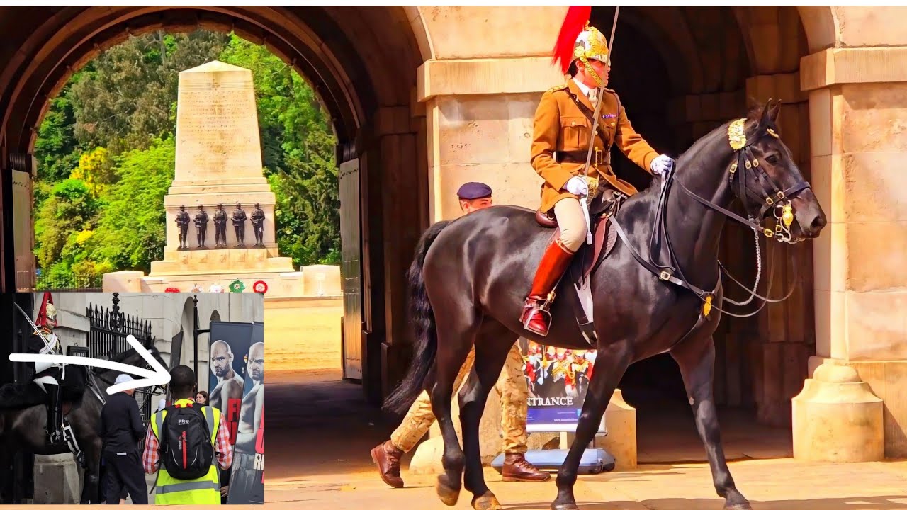 Those Guys Pass by Horse Guards in London Every Day - Gates Closed, Horses Peaceful