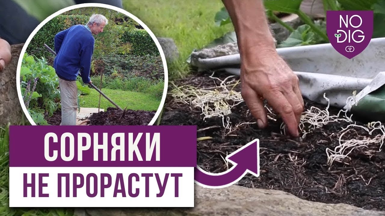 Два способа борьбы с сорняками по методу «Без копания»