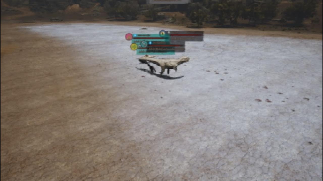 Carch pvp