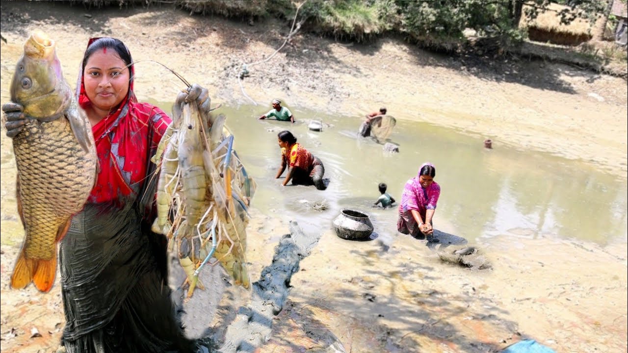 পুকুরের জ্যান্ত গলদা চিংড়ির তেঁতুল দিয়ে টক আর আমেরিকান রুই মাছের তেলঝাল রান্না||fishing&cooking