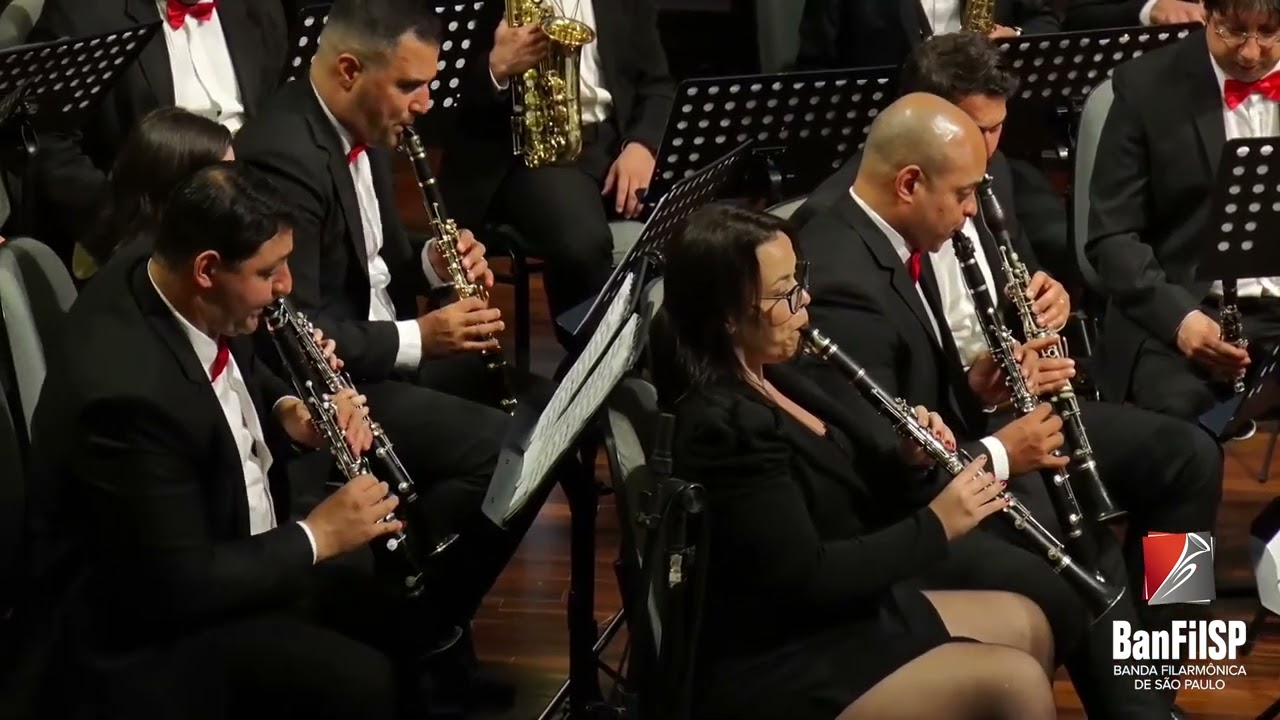 Variations on a Theme of Robert Schumann, by Robert Jager