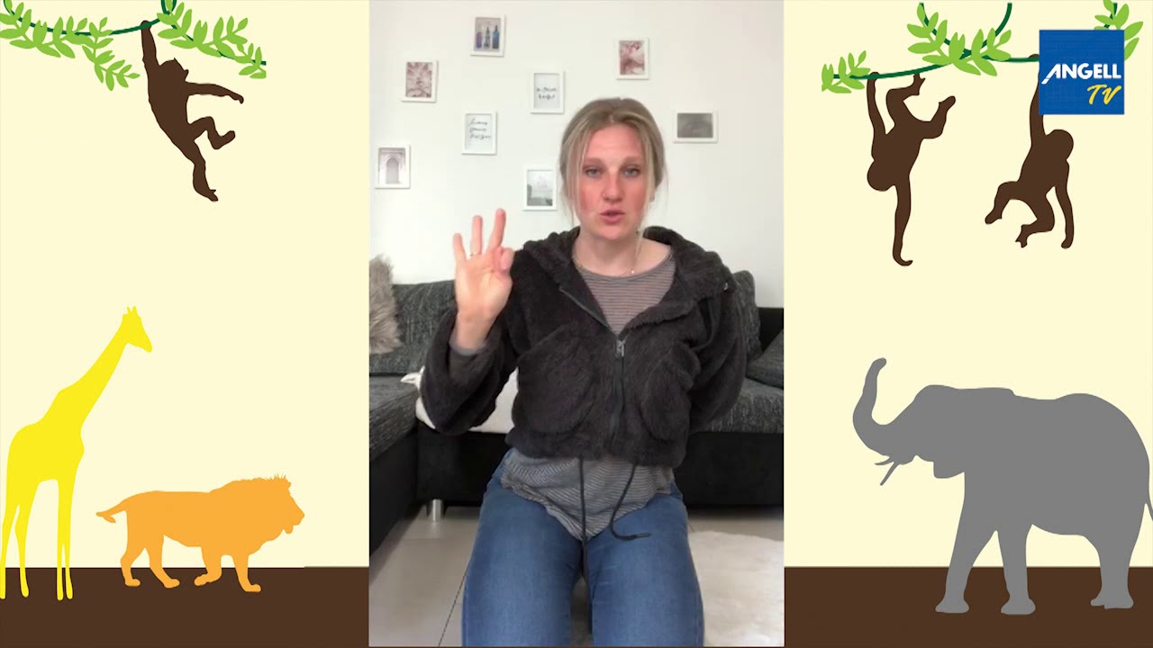 5 Affen und das Krokodil