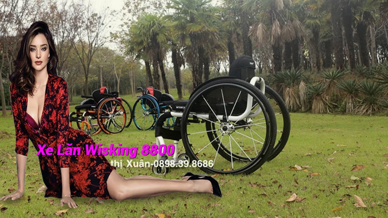 Xe Lăn Tay Wisking 8800