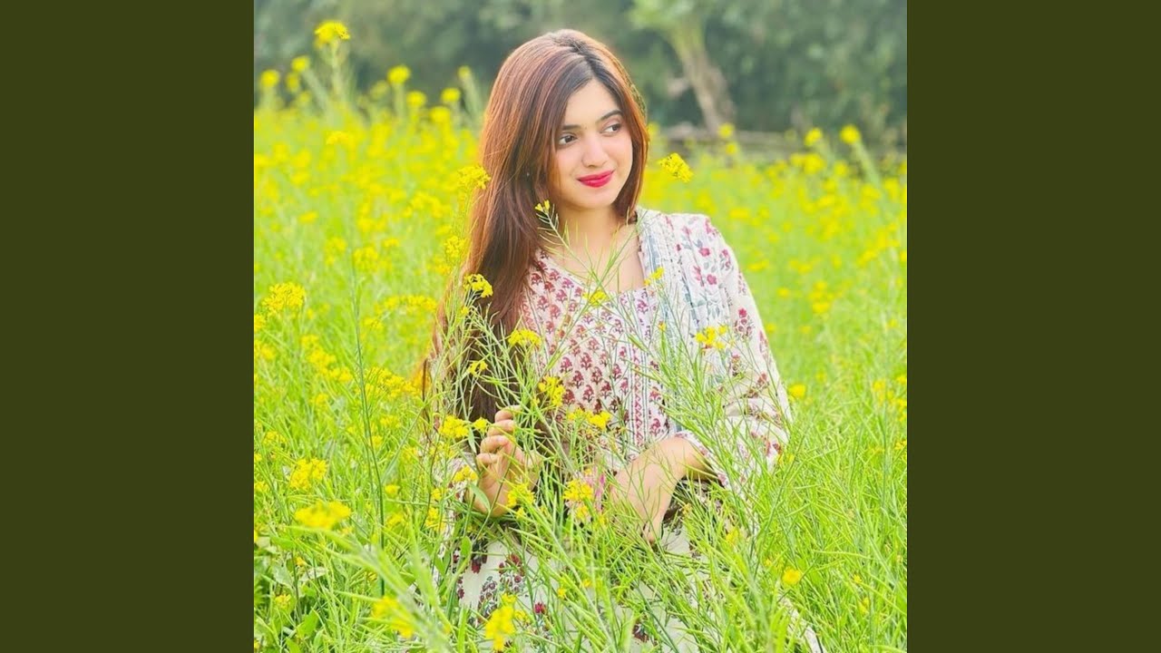 Tere Chunariya Dil Le Gaye