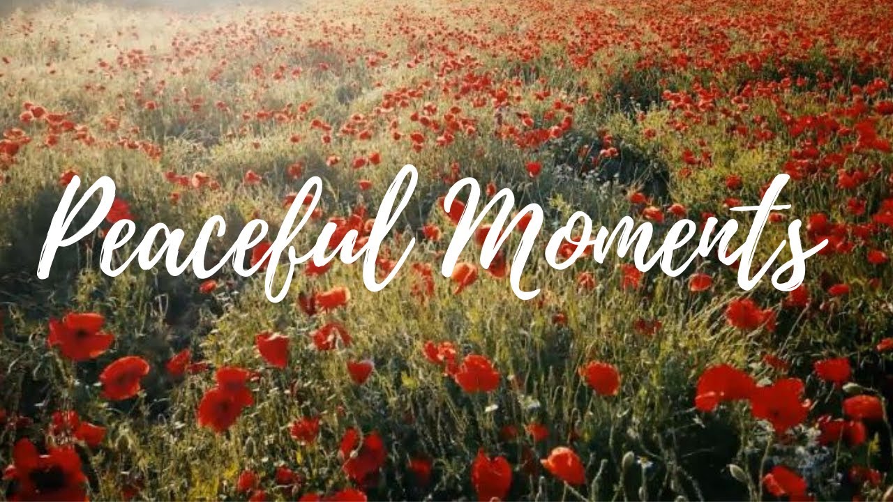 Peaceful Moments of Worship and Meditation | Relaxing Music for Prayer, Meditation and Rest