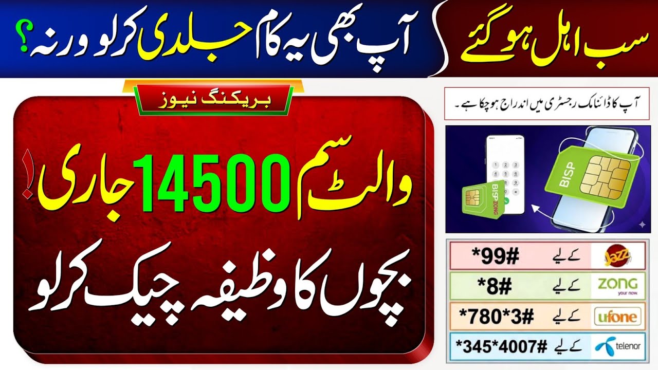 BISP 14500 January Payment In Wallet SIM | 8171 New Update 2026 | Dynamic Survey New Family Eligible