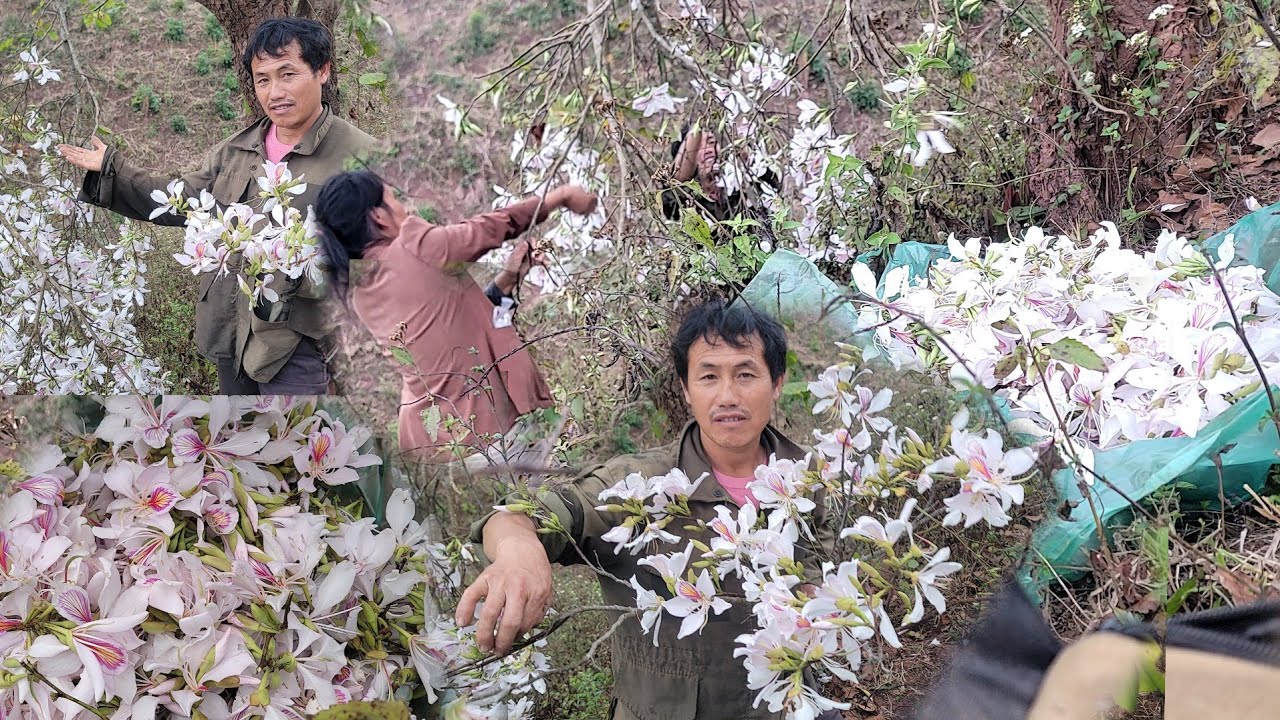 27 กุมภาพันธ์ ค.ศ. 2026