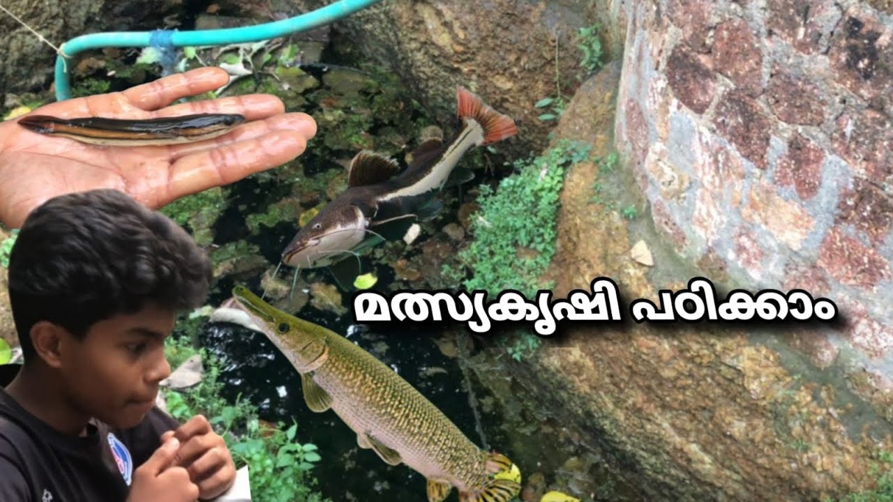 മത്സ്യകൃഷി പഠിക്കാം |ഇവിടെ ഇതൊക്കെ മെനുകള ഉള്ളത് | ഇ ചേട്ടൻ പൊളി ആണ് 