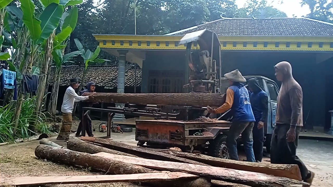 Membuat balok yang besar dari kayu mahoni super dengan gergaji bandsow rakitan