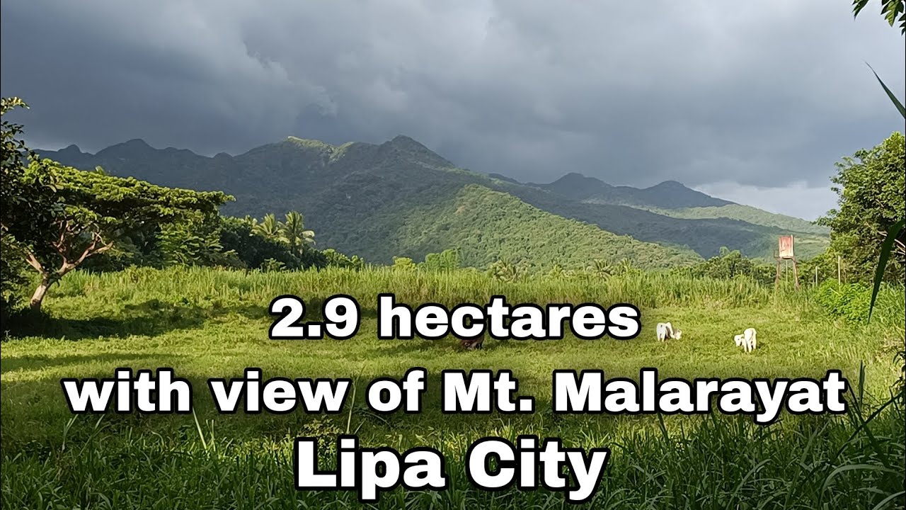 2.9 Hectares Farm lot with Mountain VIEW of Mt.Malarayat for sale in Lipa City